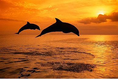 《星际：异端先知》将讲述哲学故事：引人入胜 让玩家思考